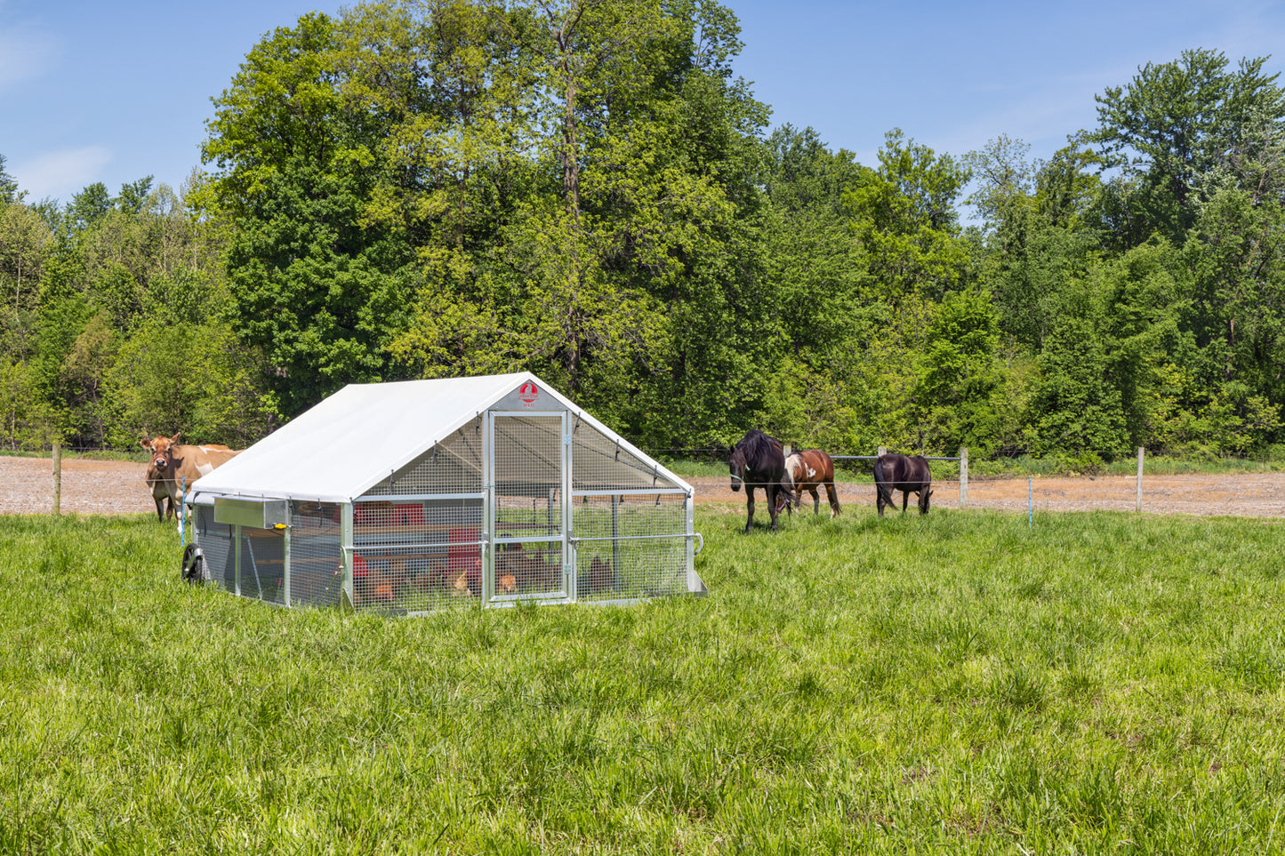 10 × 12 Alumi-Coop