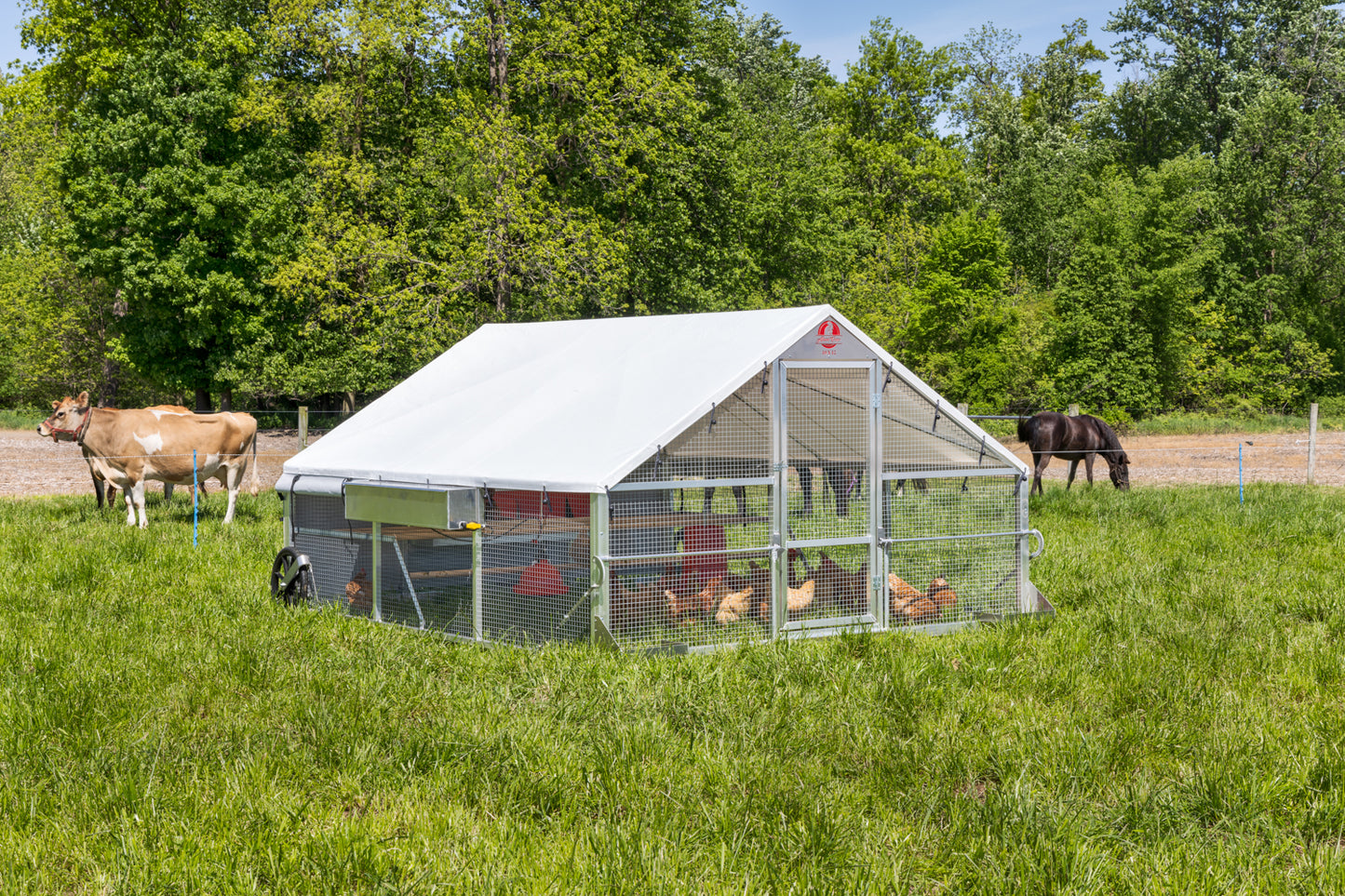 10 × 12 Alumi-Coop