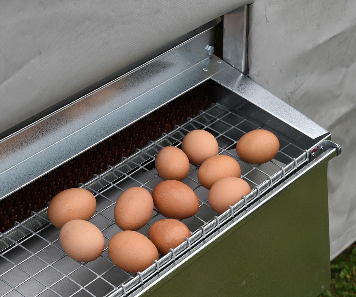 5 × 6 Alumi-Coop