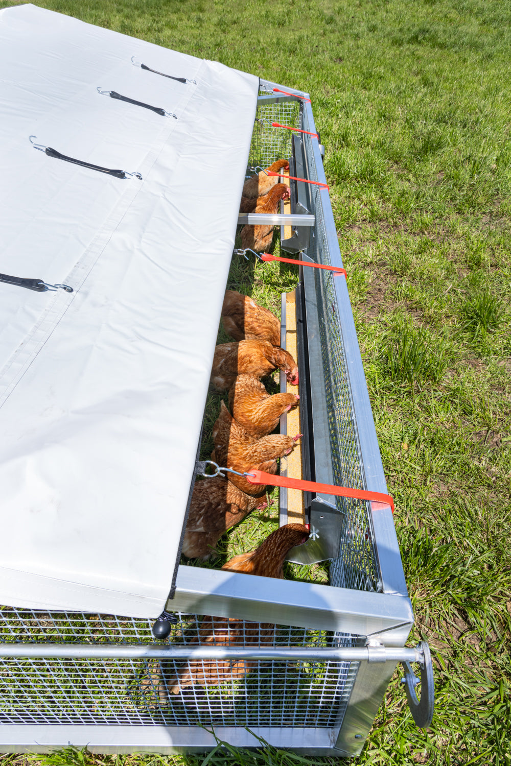 12 × 24 Alumi-Coop