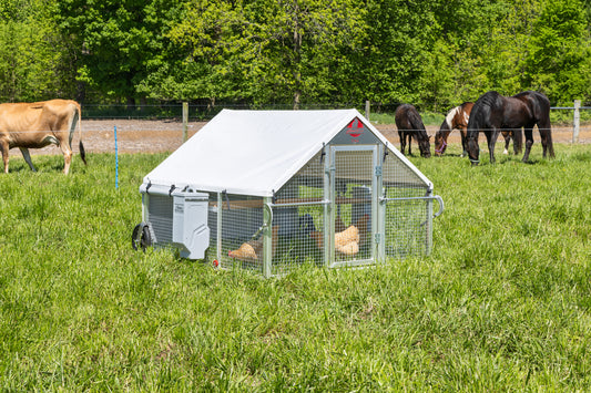 5 × 6 Alumi-Coop